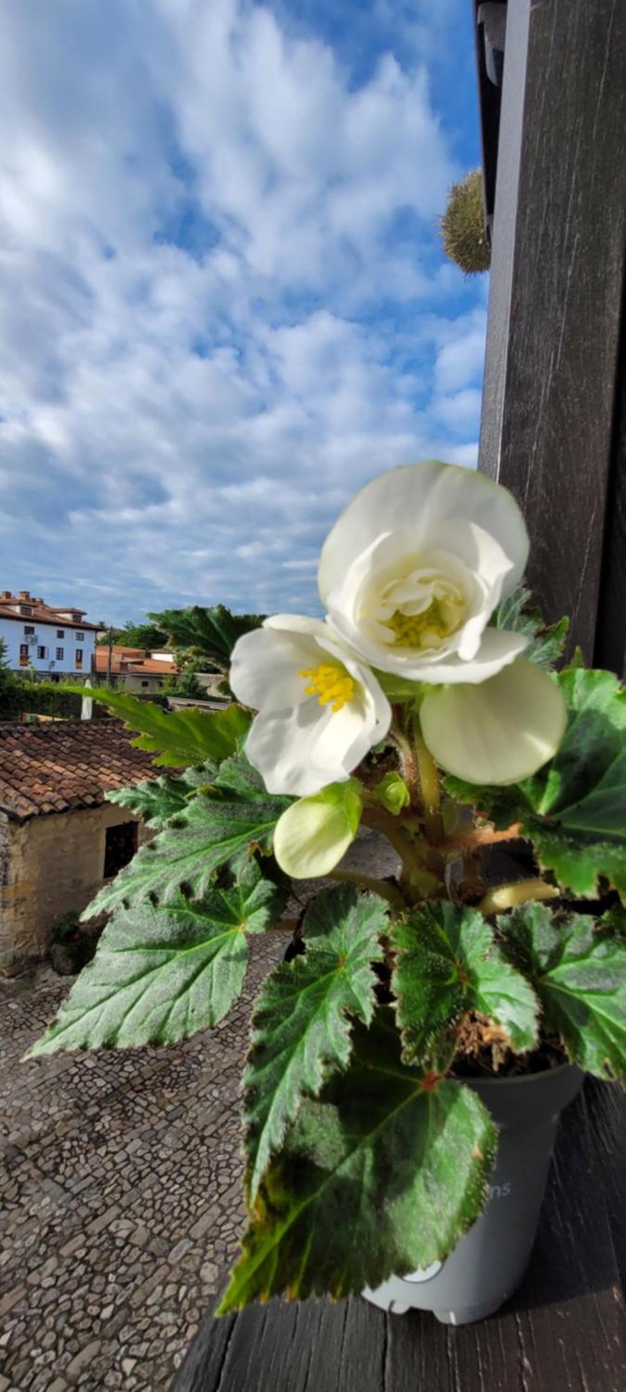 Casa Del Lavadero Homestay Santillana del Mar